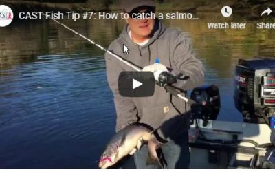 C.A.S.T. Fish Tip #7: How to Catch a Salmon with a Kids Cadence Rod